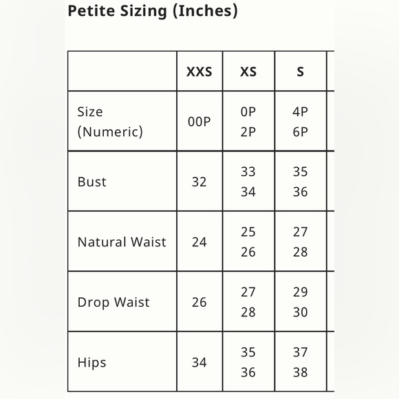 NWT Anthropologie Montie Velvet Mini Skirt Size 4P - Picture 8 of 8